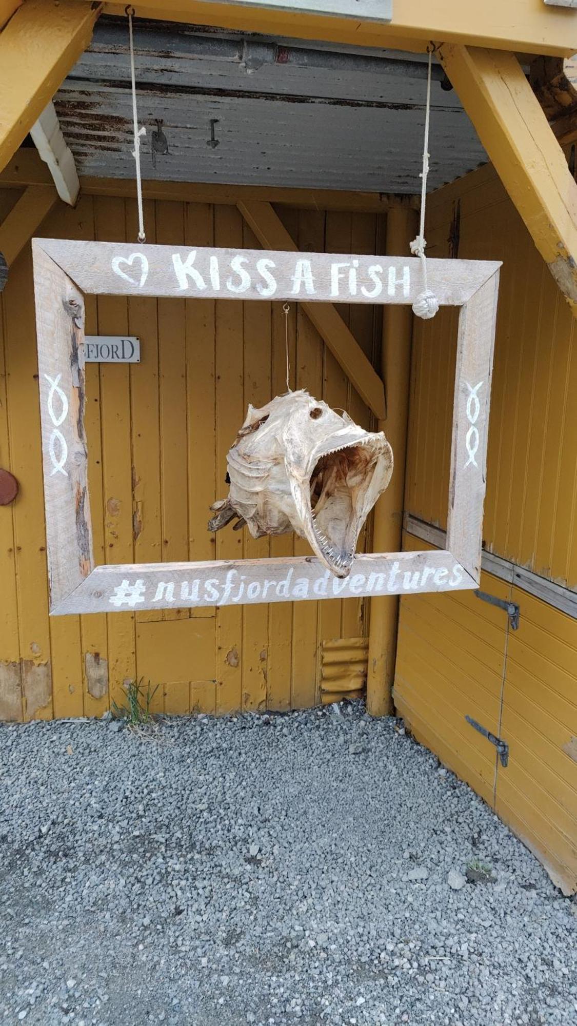 Idyllisk I Lofoten Holiday home